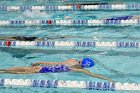 Swimming & Diving vs RWU  Swimming & Diving vs Roger Williams University. - Photo by Keith Nordstrom : Wheaton, Swimming